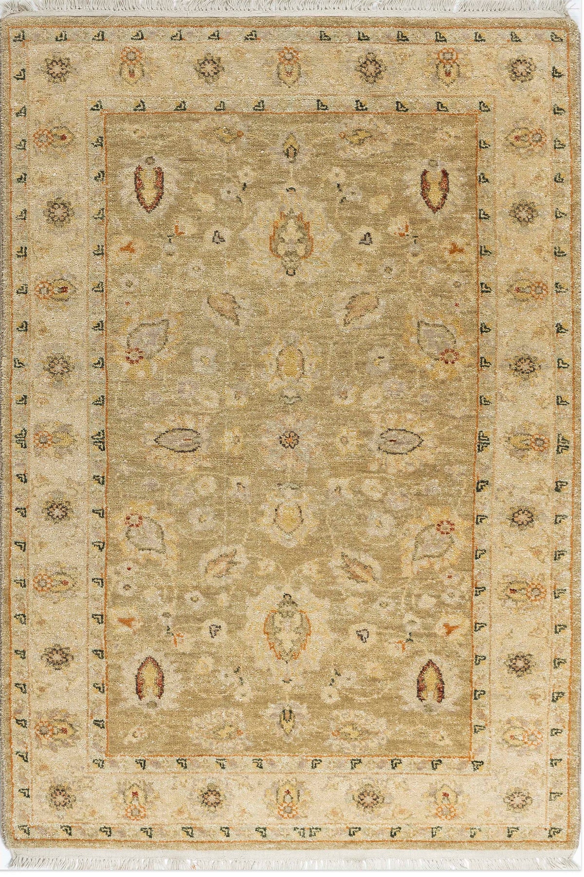 Peshawar Transitional woollen Hand Knotted Carpet